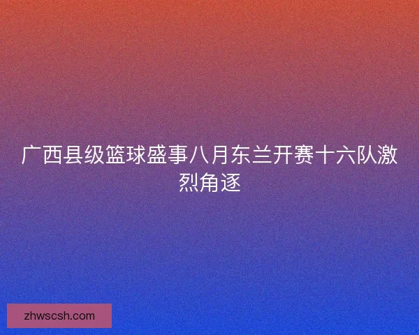 广西县级篮球盛事八月东兰开赛十六队激烈角逐 广西县级篮球盛事八月东兰开赛十六队激烈角逐
